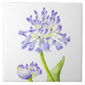 Lily des Nils auf einer Keramik Fliese (Vorderseite)