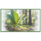 Lily des Tales National Blume Finnland groß Tischdecke (Vorderseite (Horizontal))