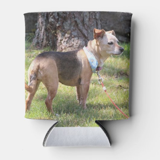 Lily Dosenkühler (Vorderseite)