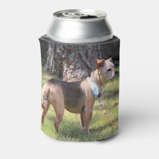 Lily Dosenkühler (Kanne Rückseite)