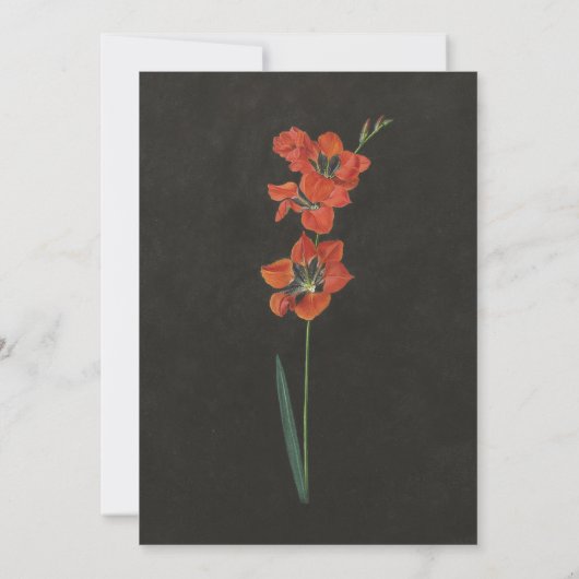 Lily Dutch Master Painting Flat Save the Date Card (Rückseite)