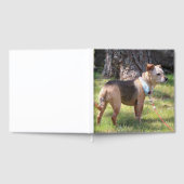 Lily Gästebuch (Voll)