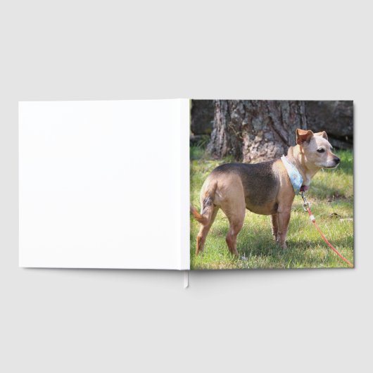 Lily Gästebuch (Voll)