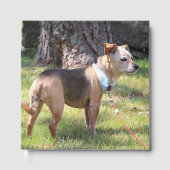 Lily Gästebuch (Vorderseite)