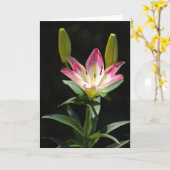 Lily Grußkarte Karte (Gelbe Blume)
