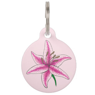 Lily Hund Pink Blume Floral Lilies Lilly Garden Tiernamensmarke