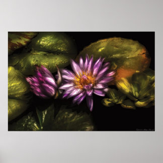 Lily - im Sonnenlicht einschlafen Poster