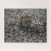 Lily in Blätter Puzzle (Horizontal)