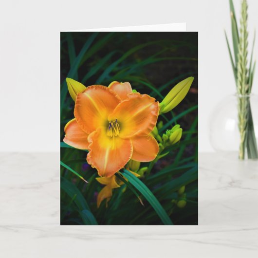 Lily, Karte (Vorderseite)