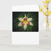 Lily, Karte (Gelbe Blume)