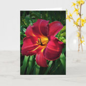 Lily, Karte (Gelbe Blume)
