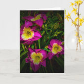 Lily, Karte (Gelbe Blume)