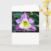 Lily, Karte (Gelbe Blume)