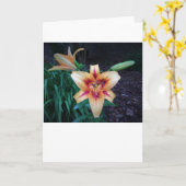 Lily, Karte (Gelbe Blume)