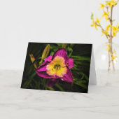 Lily, Karte (Gelbe Blume)