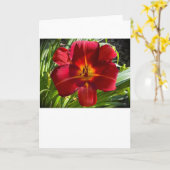 Lily, Karte (Gelbe Blume)