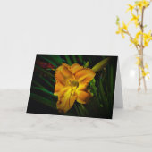 Lily, Karte (Gelbe Blume)