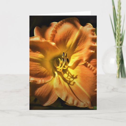 Lily, Karte (Vorderseite)