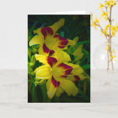 Lily, Karte (Gelbe Blume)