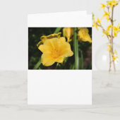 Lily, Karte (Gelbe Blume)