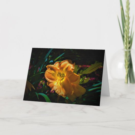Lily, Karte (Vorderseite)