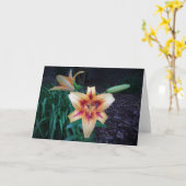 Lily, Karte (Gelbe Blume)