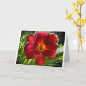 Lily, Karte (Gelbe Blume)