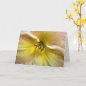 Lily, Karte (Gelbe Blume)