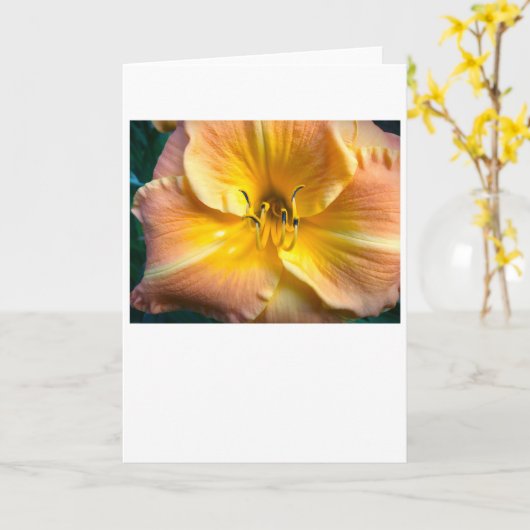 Lily, Karte (Gelbe Blume)