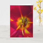 Lily, Karte (Gelbe Blume)