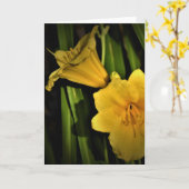 Lily, Karte (Gelbe Blume)