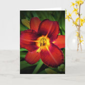 Lily, Karte (Gelbe Blume)