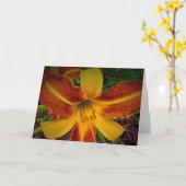 Lily, Karte (Gelbe Blume)