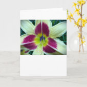 Lily, Karte (Gelbe Blume)