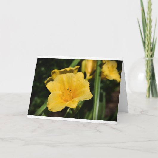 Lily, Karte (Vorderseite)