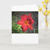 Lily, Karte (Gelbe Blume)