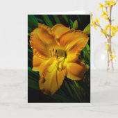 Lily, Karte (Gelbe Blume)