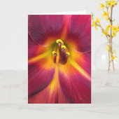 Lily, Karte (Gelbe Blume)