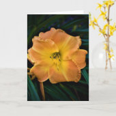 Lily, Karte (Gelbe Blume)