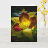 Lily, Karte (Gelbe Blume)