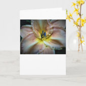 Lily, Karte (Gelbe Blume)