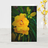 Lily, Karte (Gelbe Blume)