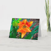 Lily, Karte (Vorderseite)