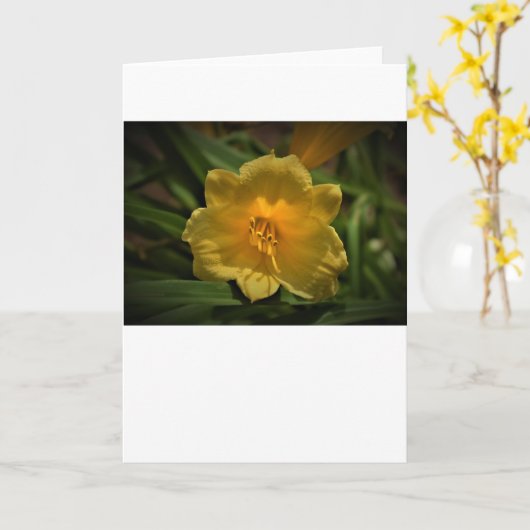 Lily, Karte (Gelbe Blume)