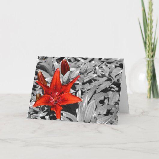 Lily Karte (Vorderseite)