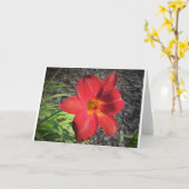 Lily, Karte (Gelbe Blume)