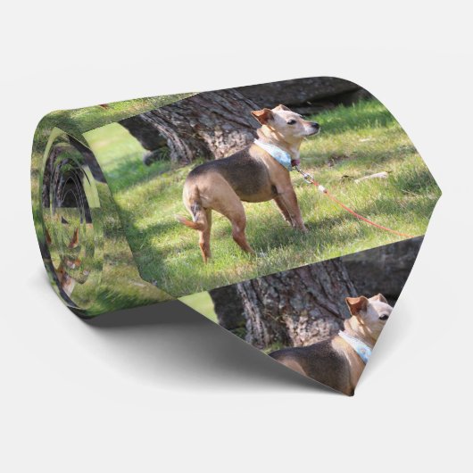 Lily Krawatte (Gerollt)