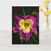 Lily & Ladybug, Karte (Gelbe Blume)