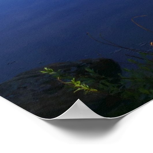 Lily Lake Poster (Ecke)