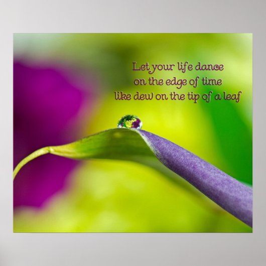 Lily Leaf Poster (Vorne)